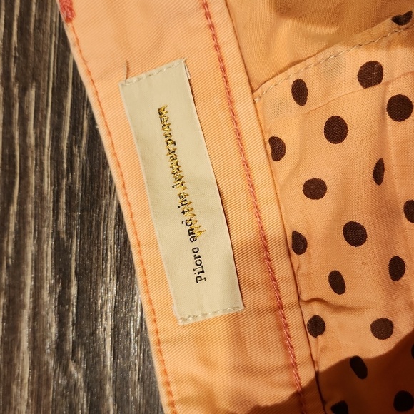 ❤️ ANTHOPOLOGIE PILCRO HYPHEN STRETCH COTTON SHORTS, 8 (29) - Picture 8 of 9